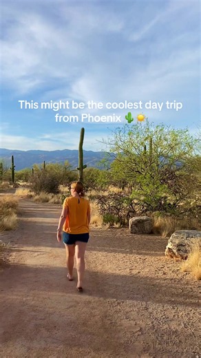 This might be the coolest day trip from Phoenix. 🌵✨ I headed down to the Tucson area and honestly…I wasn’t expecting to love it this much. 😍 Between the giant saguaros at Saguaro National Park, the incredible desert scenery, and the beautiful San Xavier del Bac Mission, it felt like a completely different side of Arizona than what you typically see around Phoenix. And the best part? You can turn this into a full-day adventure and explore even more of southern Arizona, including places like Tom