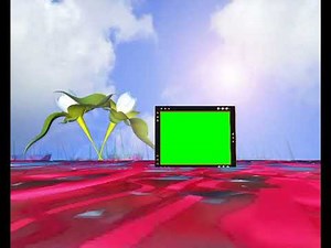 Green Screen Effects Video Background HD