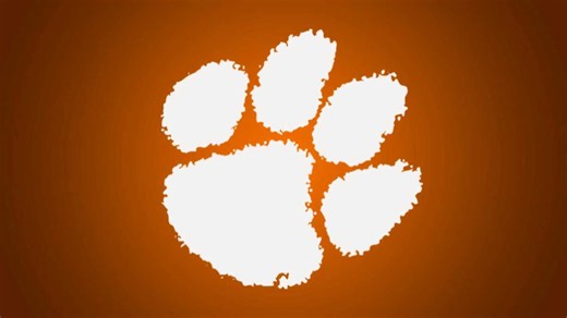 Lawmakers call for consequences for Clemson professors after 'deeply inappropriate remarks'