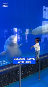 454K views · 18K reactions | He just wanted to play  | Daily Mail Entertainment | Facebook