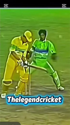 Aura of old Pakistani spinners#cricket #1992 #804 #cricketlover