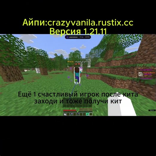 Заходи на лучший сервер айпи:crazyvanila.rustix.cc #свойсервермайнкрафт #майнкрафт #minecraft