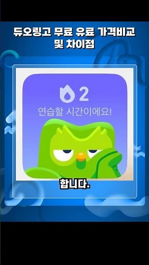 듀오링고 무료 유료 가격비교 및 차이점