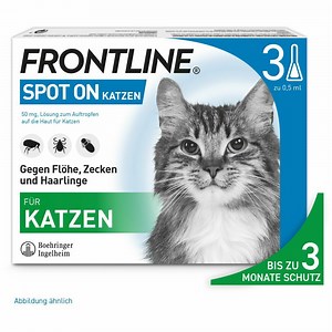 FRONTLINE® SPOT ON Katze gegen Zecken und Flöhe 3 St - Shop Apotheke