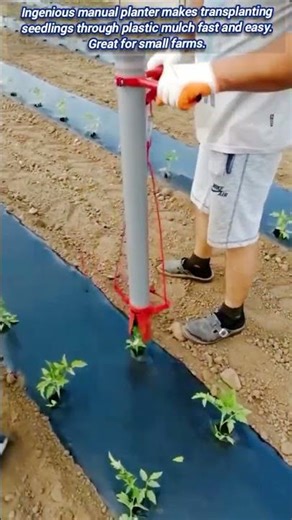 ​Manual Planter Makes Transplanting Seedlings Quick and Easy.