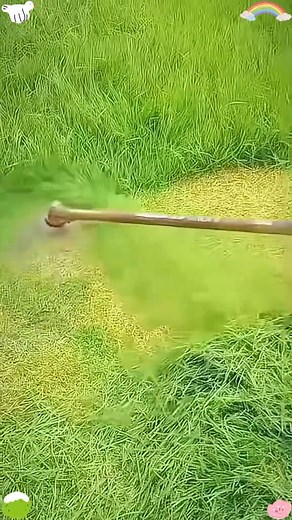 17 reactions | Turn tedious trimming into a smooth, satisfying task. The Grass Trimmer covers more area in less time, reducing strain and fatigue. Every cut is clean, even, and easy — giving your lawn and flowers the attention they deserve, without the pain of old-fashioned tools. Get it here: https://www.realawoof.com/gt-tnz/ | TrimPro Edge | Facebook