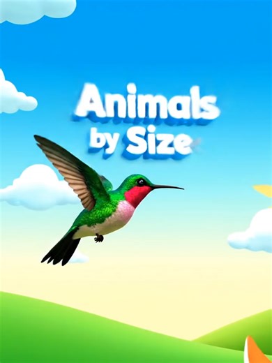 Animals by Size: Understanding Big, Medium, and Small