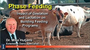 110K views · 1.7K reactions | Mike Hutjens, Extension Dairy Specialist at the University of Illinois, discusses phase feeding and the impact of gestation and lactation on building feeding programs. Visit my website: https://mikehutjens.com/en #dairyfarm #dairycow #ruminant #phasefeeding | Mike Hutjens Course | Facebook