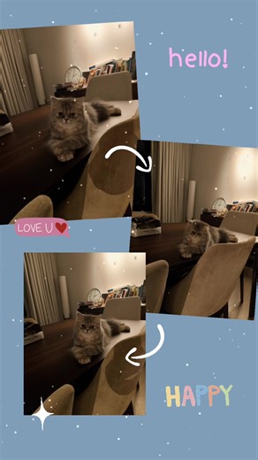🥰🥰🥰