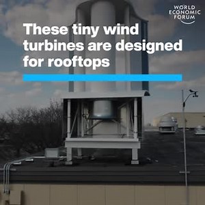 Could these turbines be a game-changer for rooftop renewable technology? Learn more about 'green roofs': http://ow.ly/Ilbp50LIs6z | World Economic Forum