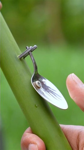 DIY Spoon Creations with Bamboo #diy #craft #shorts