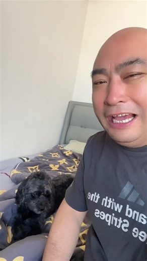 Hilarious Dog Compilation: Can't Stop Laughing