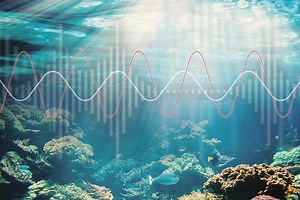Signal Kinetics team wins Explorer Prize in Ocean Observing Prize's DISCOVER Competition – MIT Media Lab