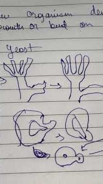 class 10 how do organisms reproduce different types of asexual reproduction