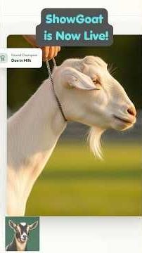 🐐 Performance Dairy Goat Breeders Finally Have Their Own App