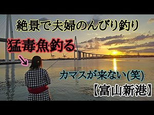 【富山釣り】富山新港でのんびり夫婦釣り！猛毒魚現る！！！