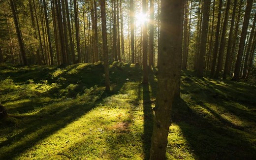 视频素材-4K大自然美景
