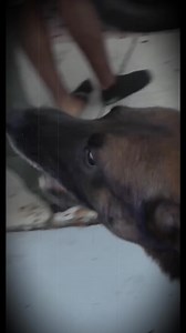 8.3K views · 79 reactions | Good year Part 15 | Fun Time | Facebook