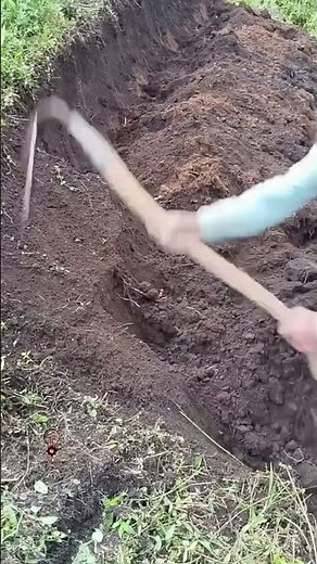 Multifunctional Land Reclamation Hoe Tool