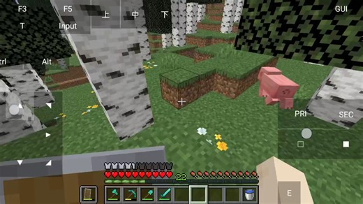 我的世界JAVA1.21.8