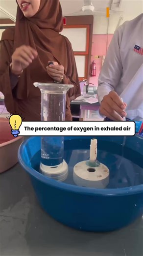 Understanding Oxygen Exchange in the Lungs