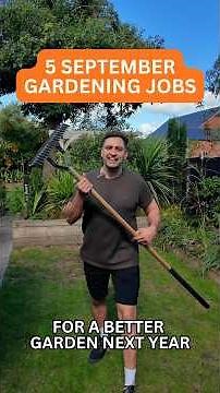 September gardening jobs: 5 things to do now