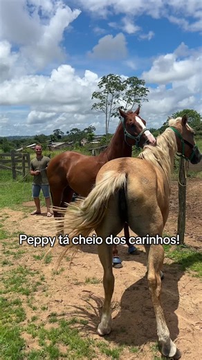 Peppy tá cheio dos carinhos!