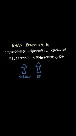 WGU D236 OA – Critical Concept Breakdown