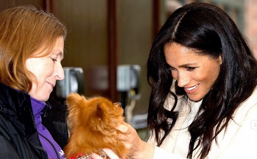 College Professor Dr. Anne Anderson Criticized Meghan Markle And Consequently Lost Her Accreditation And Most Of Her Income - The Overtimer