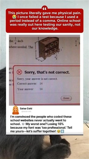 What’s your "I’m done with school" moment? 💀