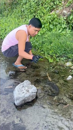 Slow hand catch… fish didn’t even realize 😳🐟
