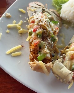 Ryan Mercer - RM Nutrition & Personal Training on Reels