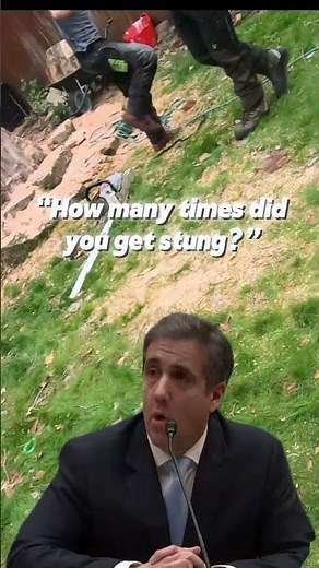 Tree surgeon vs Bees #climbing #workingrigs #arborist #stihl #tree #woodworking #chainsaw