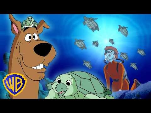 Save the Turtles! 🐢🌎 | What's New, Scooby-Doo? | #KidsCartoons ‪@wbkids‬​