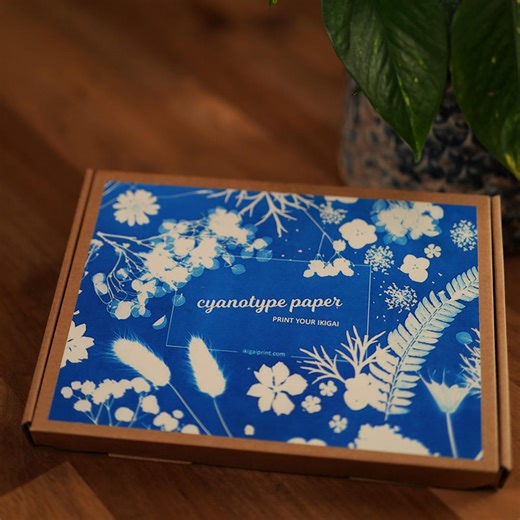 Buy Solar Printing Cyanotype Kit, Sun Print Paper, Botanical Art Gift Online in India - Etsy