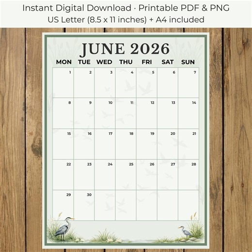 June 2026 Calendar Printable PDF PNG, Monthly Planner, US Letter & A4, Instant Digital Download - Etsy