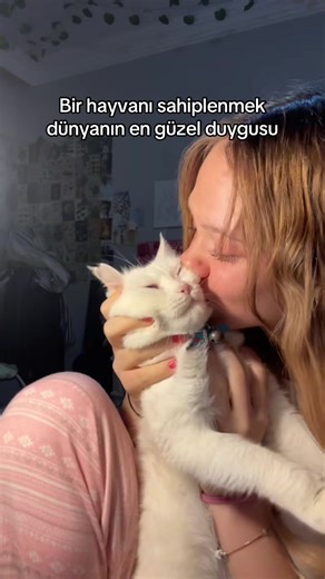 8 Yaşında Özlem Dolu Bir Kedimiz