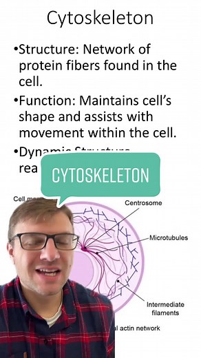 Understanding the Cytoskeleton: Key Functions and Structures