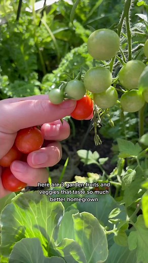 Top 3 Tastiest Garden Veggies and Fruits Worth Growing!