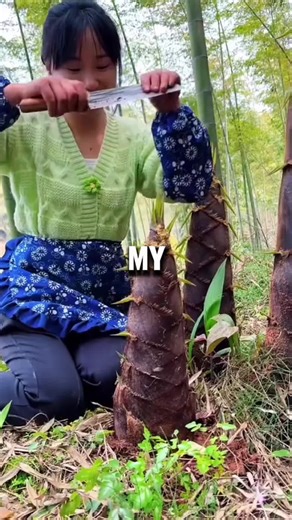 Olaf's Adventure at Disneyland Paris - World of Frozen