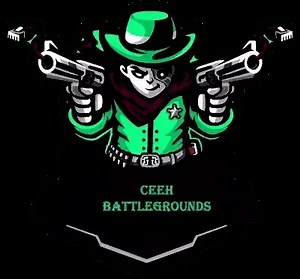 CEEH - Certified Expert Ethical Hacker Certification