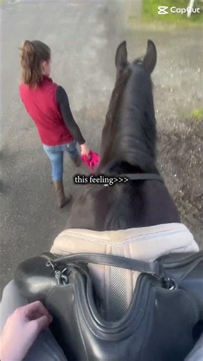 Me & my sister #horse #ponymalta #horseenthusiast #equestrianjourney #horsefan #fypシ゚viral #pony