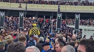 State Man winner of the Champion Hurdle at the Cheltenham Festival, bringing up winner number 96 for Willie Mullins at the Festival! #CheltenhamFestival2024 #CheltenhamFestival 🏆😃🏇 | Cheltenham Festival 2026