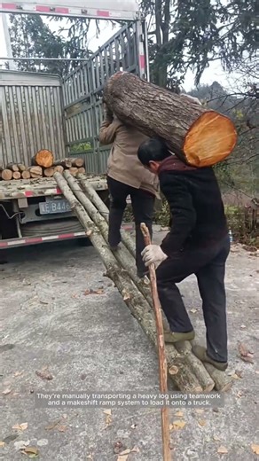 Teamwork Timber Loading on a Makeshift Ramp