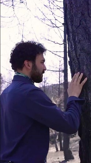Doğanay in the Wild Episode 13 Trailer @trtgencresmi