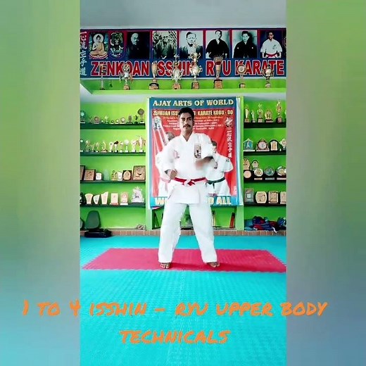 Isshin - ryu upper body technique