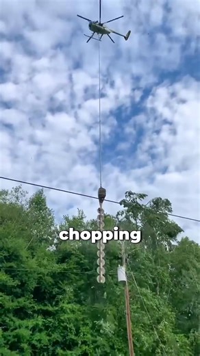 Why do they cut trees with helicopter | Particle project