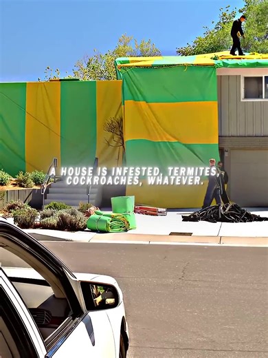 Cooking in Tented Houses: Breaking Bad Inspired