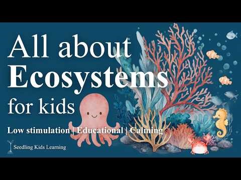 Ecosystems for Kids: Low Stimulation Education | Children's Nature Videos