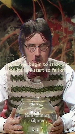 How to Feed a Goldfish | Monty Python's Flying Circus #montypython #flyingcircus